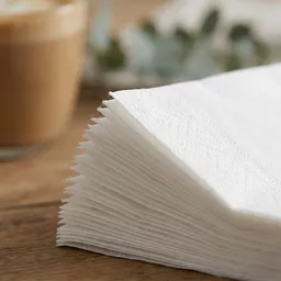 40cm 2-Ply 1_4 Fold Napkin White_0000s_0000_NAPKIN000094.jpg
