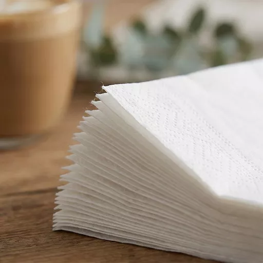 40cm 2-Ply 1/4 Fold Napkin White
