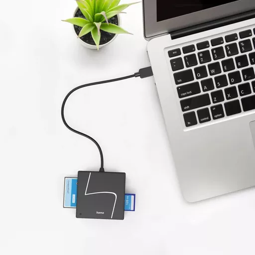 au1kN3kkA02G0qp4MsxNdg.c-r.jpg?