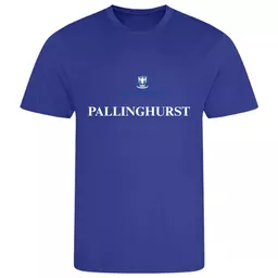 PennthorpeSchool_HouseTee_Pallinghurst_Front.png