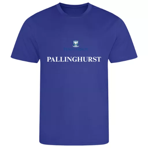 PennthorpeSchool_HouseTee_Pallinghurst_Front.png