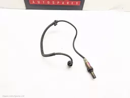 06a91232-d8b1-414e-9420-cf8fded6b9c5.jpeg?