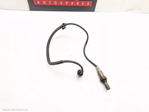 06a91232-d8b1-414e-9420-cf8fded6b9c5.jpeg?