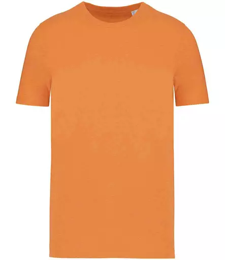 NS300%20CLH%20FRONT.jpg?