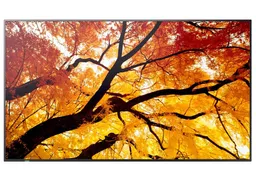 LEe6P0WI20a3UAMvv6Ribw.c-r.jpg?