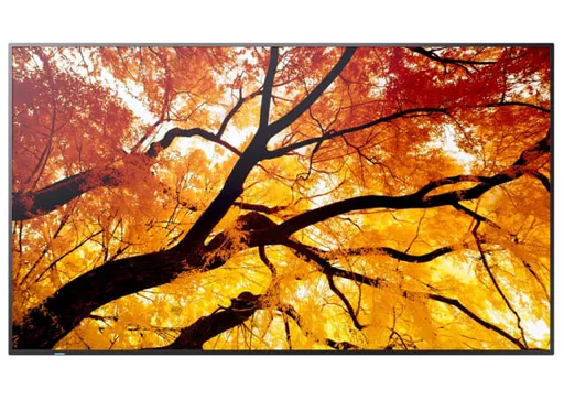 LEe6P0WI20a3UAMvv6Ribw.c-r.jpg?