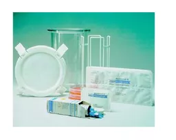 1649749953ebc738f5690527ba5417ce1e98e50baa.PNG?