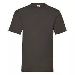 Men's Valueweight T-Shirt