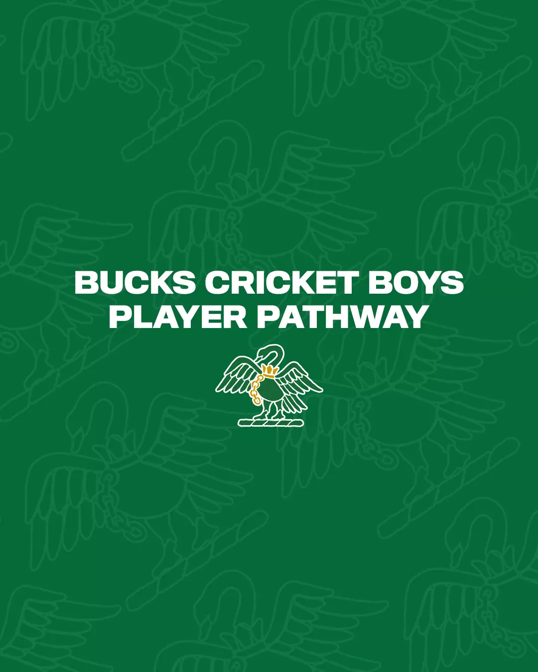 Bucks Cricket Boys Player Pathway Q&A