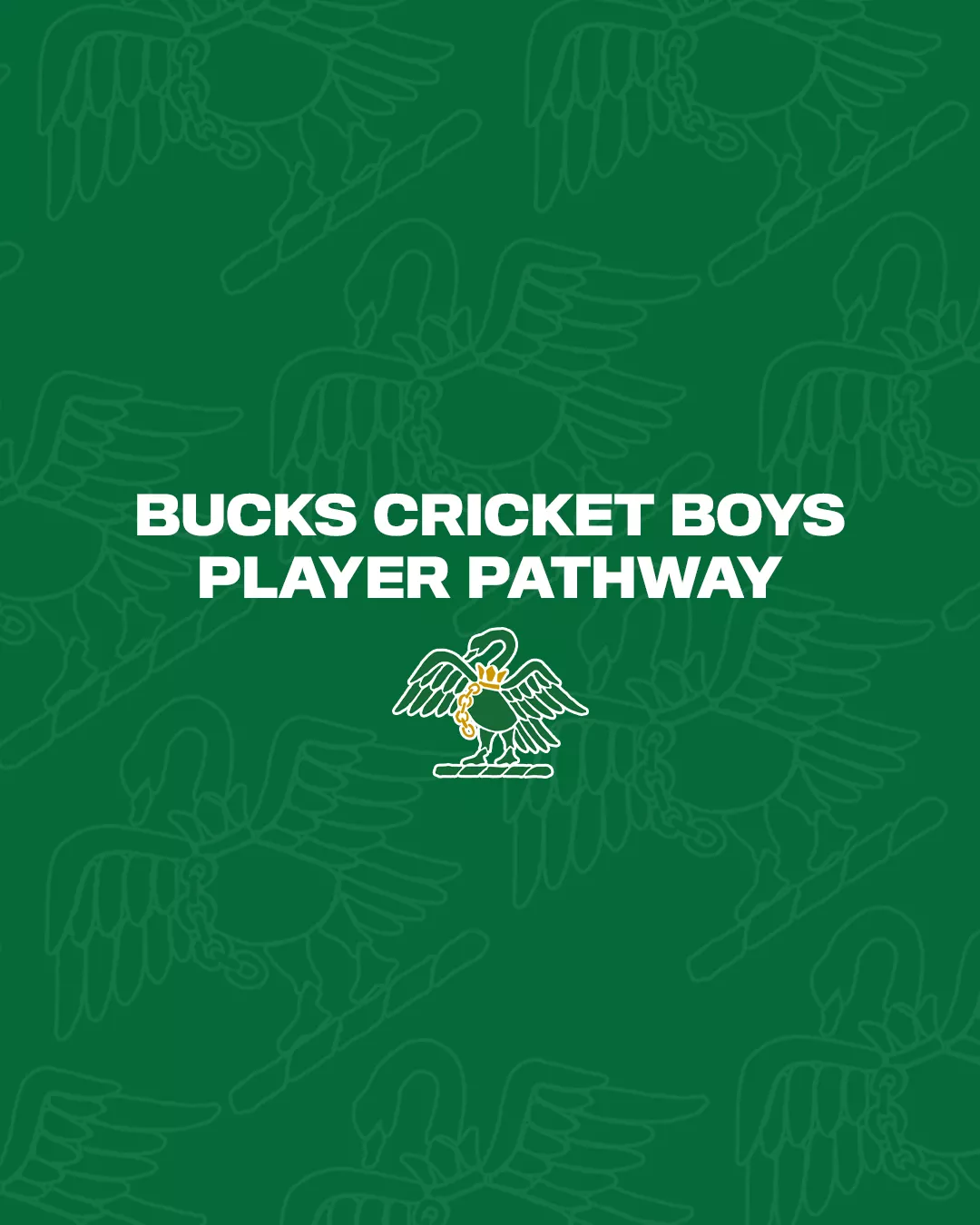 Bucks Cricket Boys Player Pathway Q&A