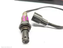 ff7c9b04-883b-4c95-8b8c-0c0705f6d83b.jpeg?