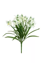 snowdrop bush.jpg