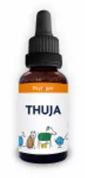 Thuja_bottle.webp