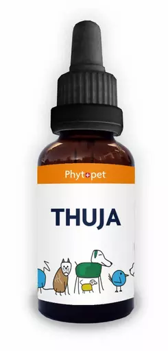 Thuja_bottle.webp