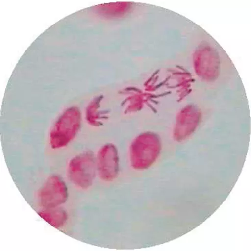 FINHC1620002.png