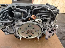 f283ae3b-7175-4045-953d-6026faa0db0b.jpeg?