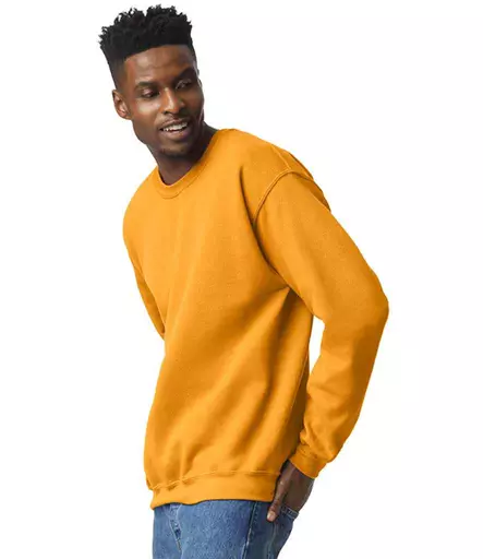 GD56%20GOL%20MODEL%203.jpg?