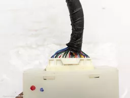 c8687d11-2749-4cd2-a023-b11b43fc3423.jpeg?