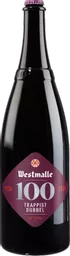 WM26-Dubbel100J-3L.png