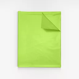 3601211-Lime-green-MF-tissue-paper.jpg