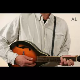 MS37 A1 mandolin black 2.jpg