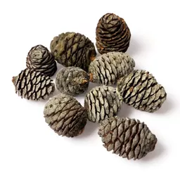 Murii_Zapfen_Natur_500g_120b_2.jpg
