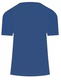 QA005730760 CLUB DRY TEE (ROYAL) - MENS Back.png