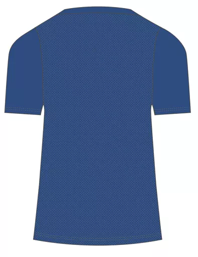 QA005730760 CLUB DRY TEE (ROYAL) - MENS Back.png