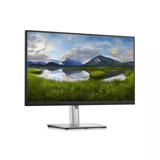 DELL P Series 24 Monitor - P2423D