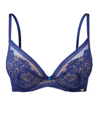 Gossard Encore Blue Bra.jpg