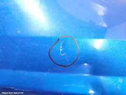 ee29629e-0ef9-43f3-9350-497c3200cc7a.jpeg?