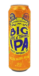 mock_biglittlethinghazy_19ozcan.png?