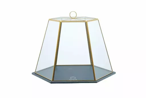 ARTTERRARIUM.jpg