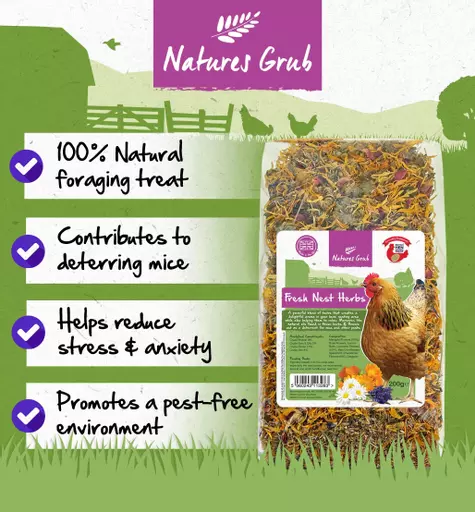 natures-grub-200g-bag-fresh-nest-herbs-c.jpg
