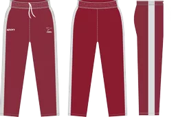 cricket pant.png