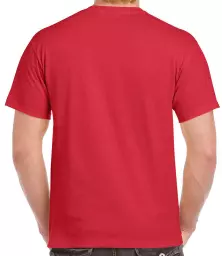 GD02%20RED%20BACK.jpg