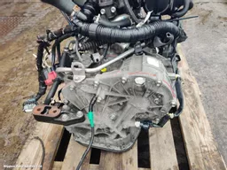 17df4d86-f64c-4e9f-add1-4ef4d1765084.jpeg?