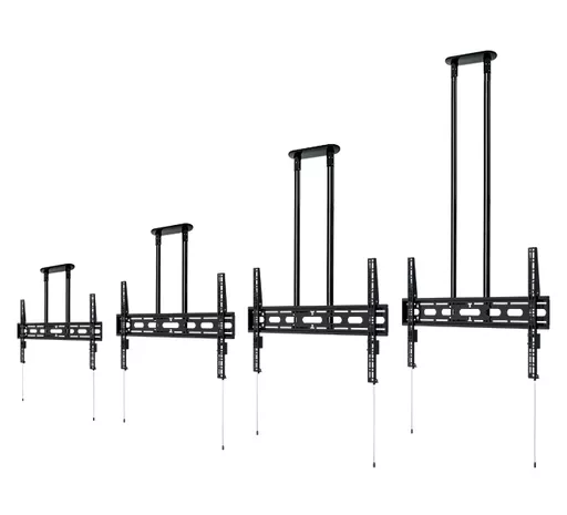 BT8448 - sizes 660.jpg