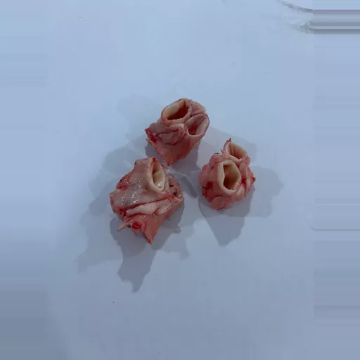 Frozen Sheep Arteries & Veins - Pack of 15