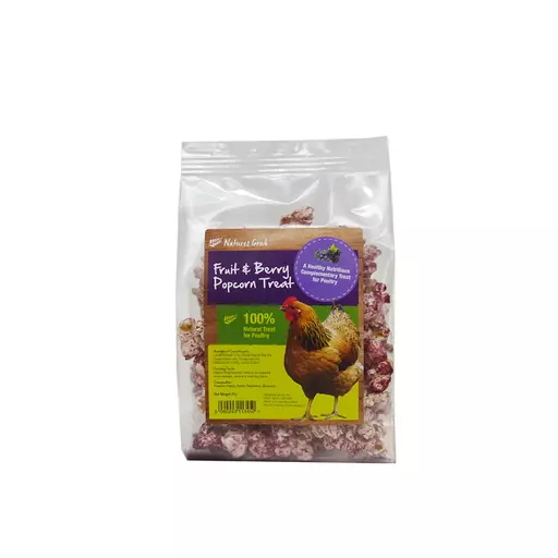 Popcorn Treat (20g)