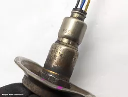 2f4f9943-d692-437d-a4d9-39f6dbf26e53.jpeg?