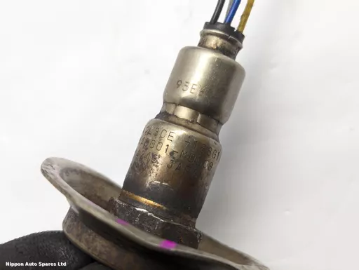 2f4f9943-d692-437d-a4d9-39f6dbf26e53.jpeg?