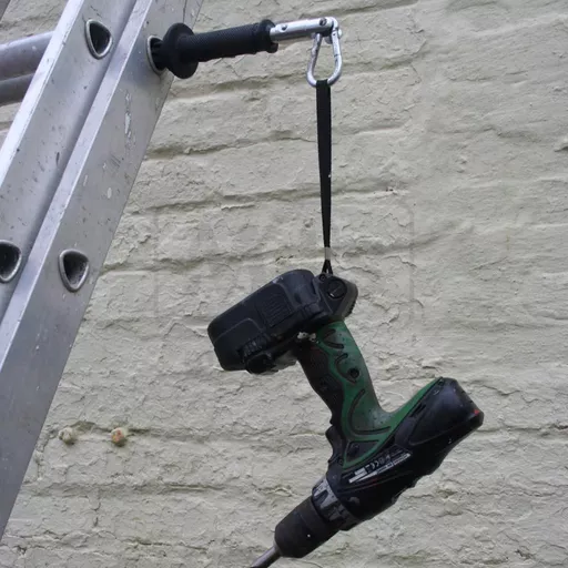 ladderlimb_3_1.jpg?