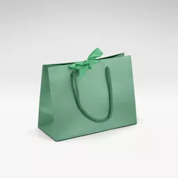 Medium Forest Green Luxury Bag.png