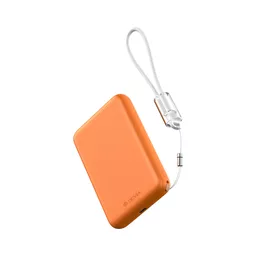 DEV-20WPDU12-P10MAG-ORG4 (Copy).png