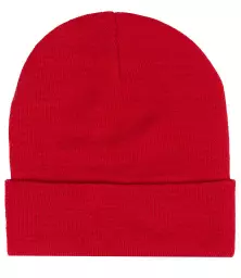 RX290%20RED%20BACK.jpg?