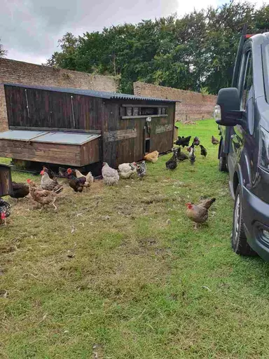 Maxi Poultry House_Image_1.jpg