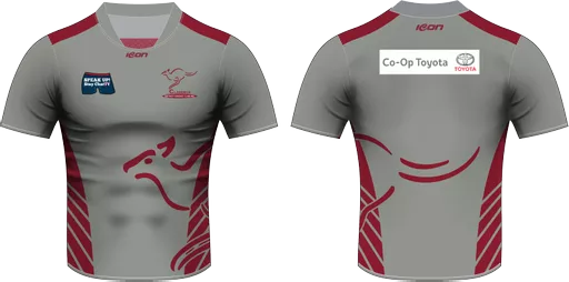CDCC Training Top (short sleeve)