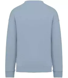 NS407%20AQM%20BACK.jpg?