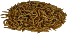 Supa Dried Mealworms pile.png